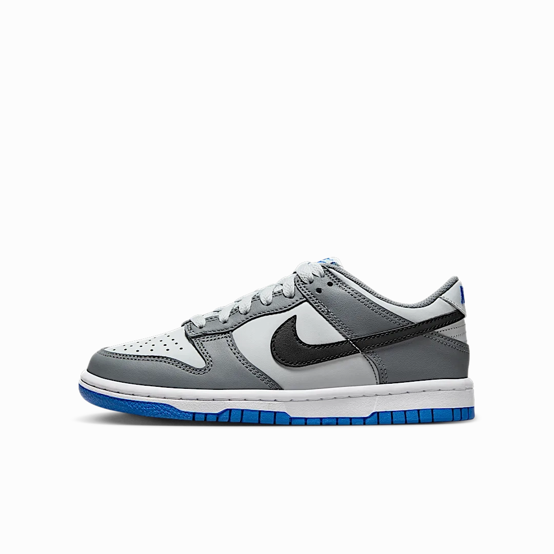 Nike Dunk Low Cool Grey Light Photo Blue