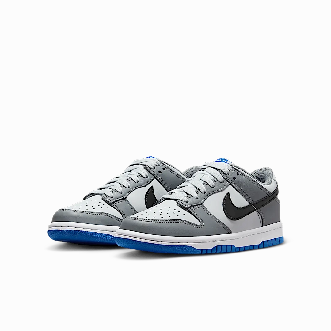 Nike Dunk Low Cool Grey Light Photo Blue
